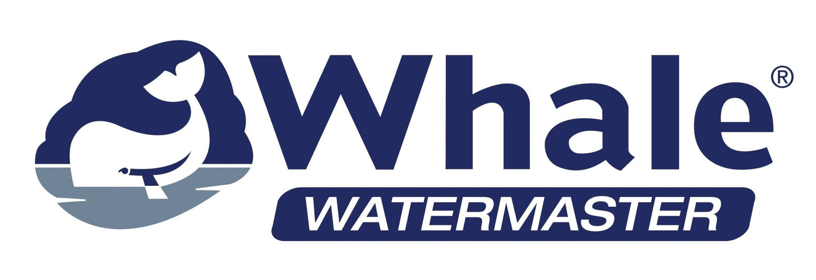 Whale - STEFANOUMARINE
